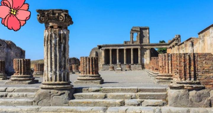 Номер Стандарт, Pompei House