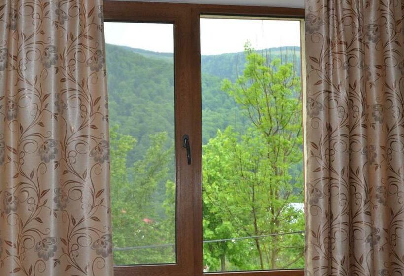 マウンテンビュースタンダードルーム, Casa Tibi   Sinaia