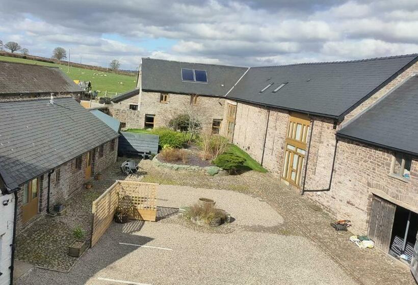 Номер Стандарт, Ty Newydd B&b