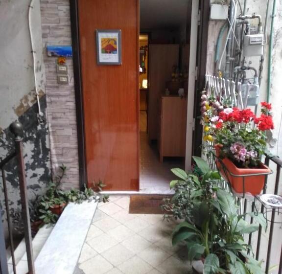 اتاق لوکس با تخت بزرگ, Casa Adelaide