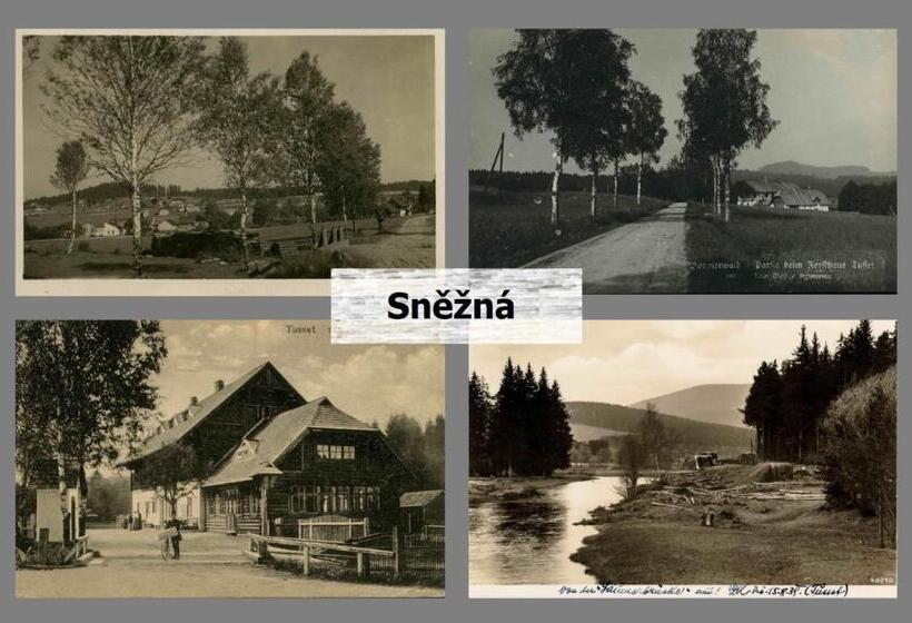 Четырехместный Номер Стандарт, Penzion Sněžná Volary