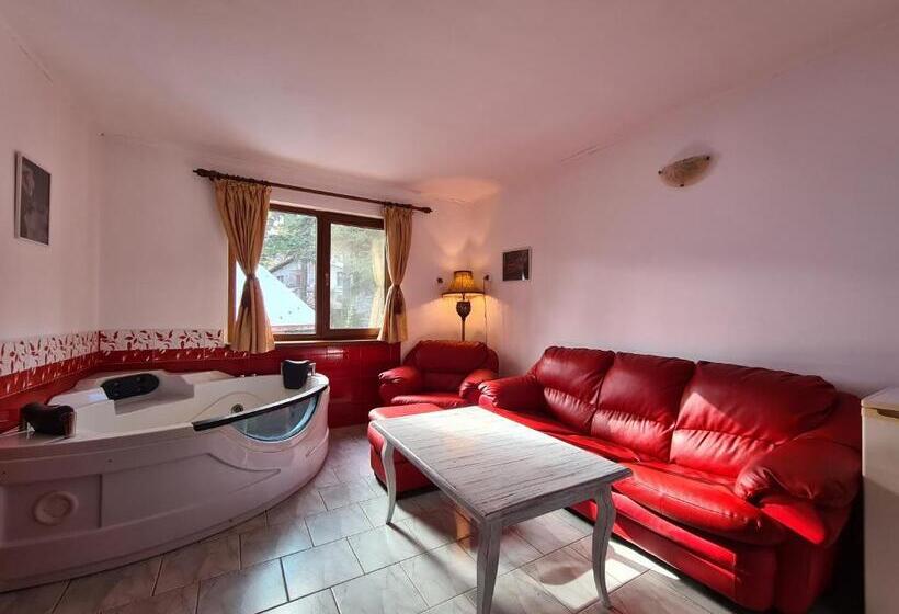 Апартаменты Deluxe 1 Спальня, Vila Kalvachevi