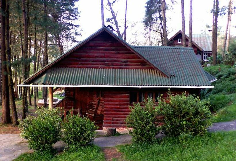 Семейный Номер, Cabañas El Rincón De Pancho