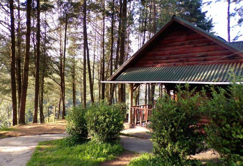 Quarto Familiar, Cabañas El Rincón De Pancho