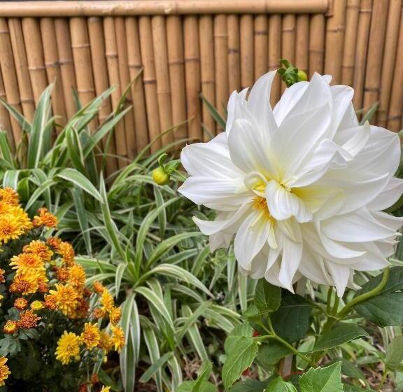 اتاق لوکس, Trang An Moon Garden Homestay