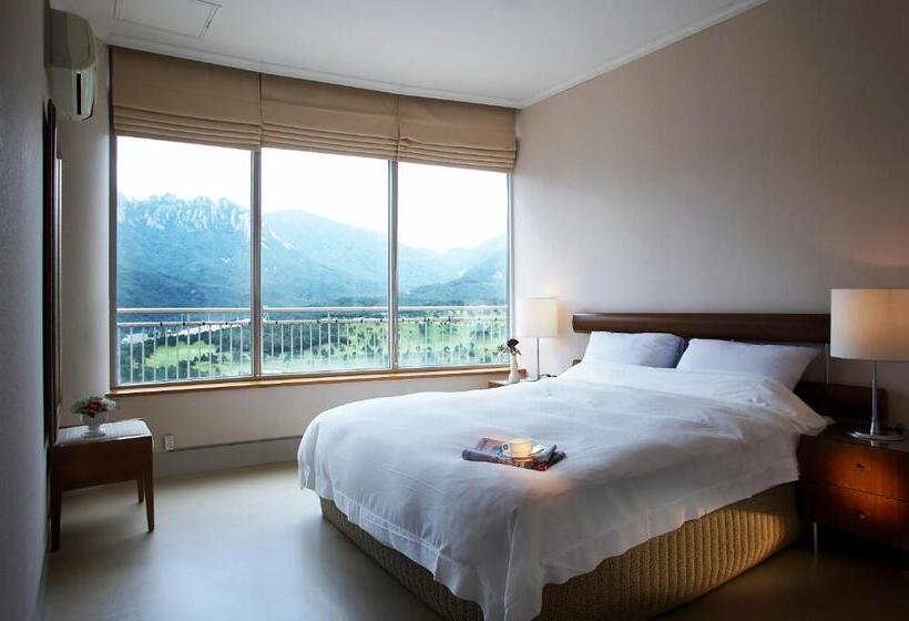 高级套房, Seorak I Park Condo