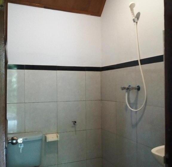 Номер Стандарт, Madra Homestay