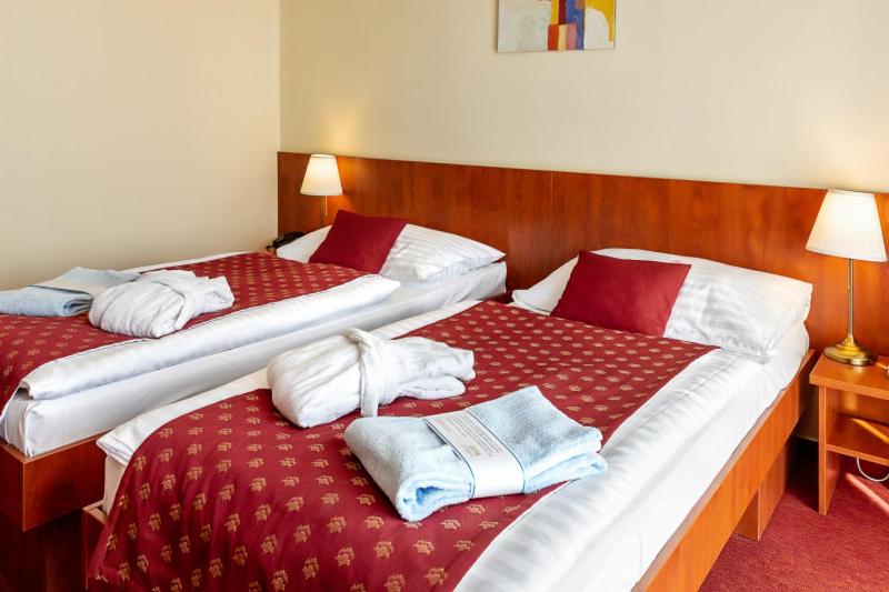스탠다드 발코니 룸, Senec Aqua Resort