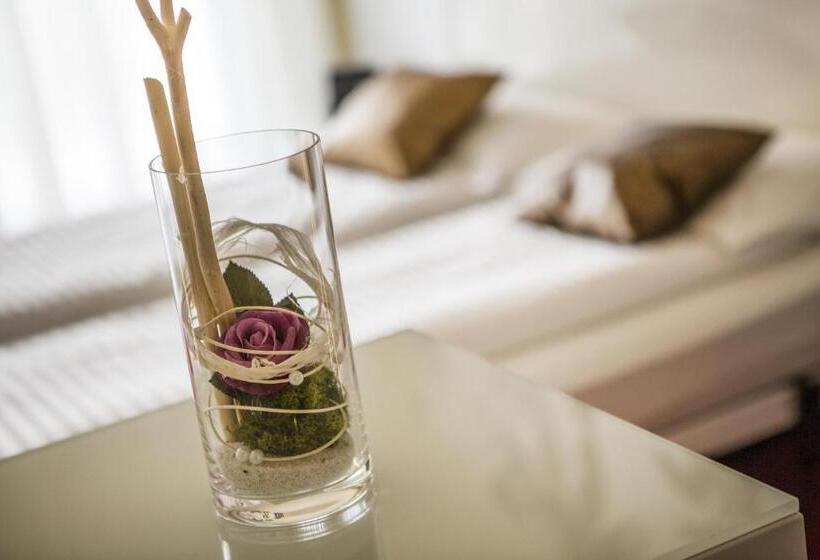 Номер Deluxe Вид на Озеро, Wellness Hotel Casa Barca