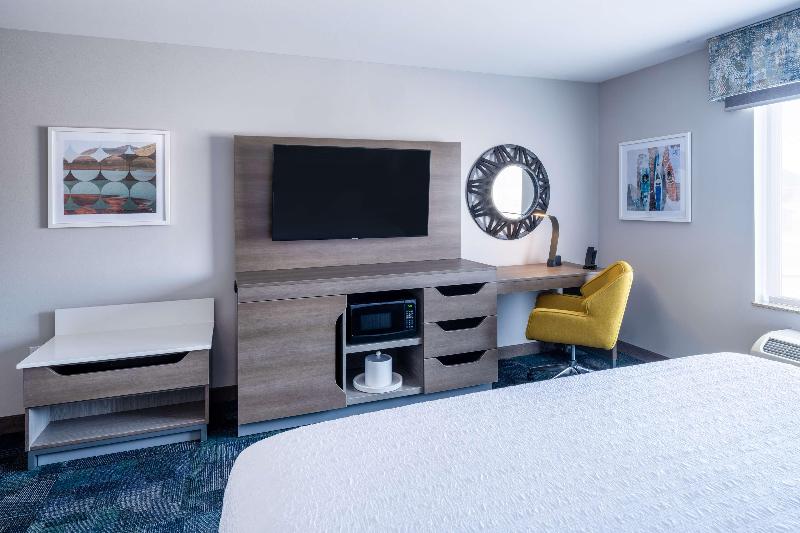 스탠다드 룸 킹사이즈 침대, Hampton Inn & Suites Salida