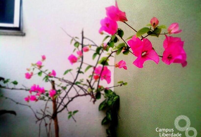 Quarto Economy, Campus Liberdade Flat