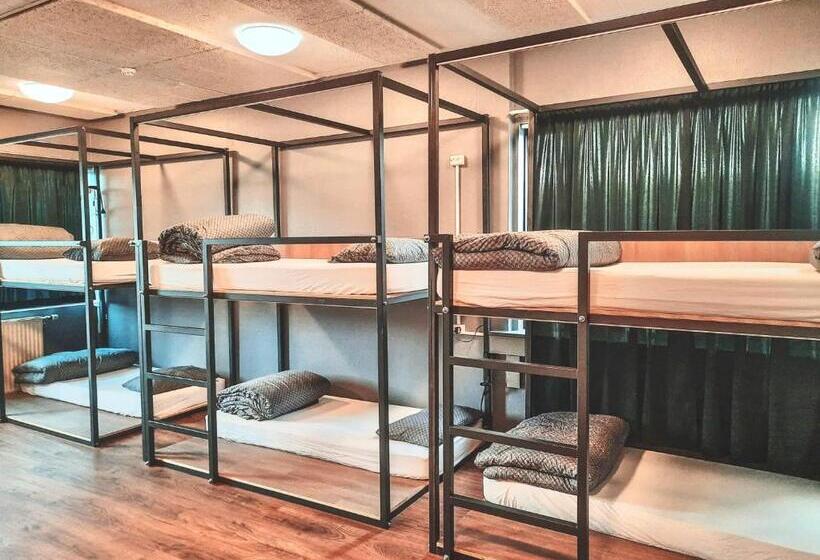 מיטה בחדר משותף, Bus Hostel Reykjavik   Reykjavik Terminal