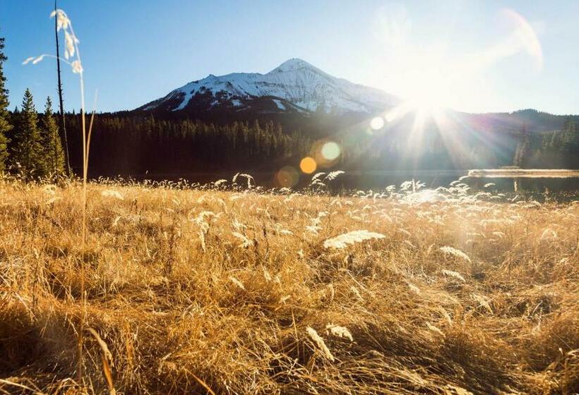 Апартаменты 1 Спальня, Yellowstone 28b
