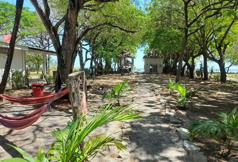 Номер Стандарт, Popoyo Surfcamp