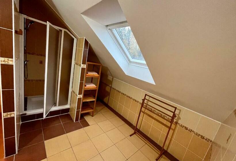 Четырехместный Номер Стандарт, Penzion Horal