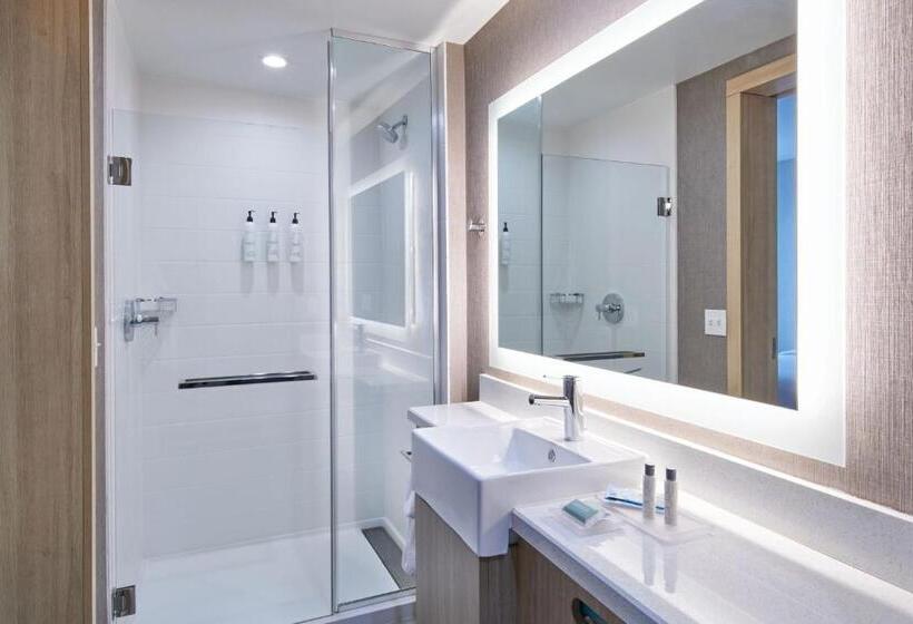 Студия Стандарт Кровать Куин, Springhill Suites By Marriott Detroit Dearborn