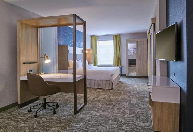 Студио Стандарт Кровать Кинг, Springhill Suites By Marriott Detroit Dearborn