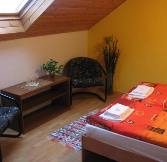 스탠다드 룸 공동 욕실, Bed & Breakfast Penzion Brno