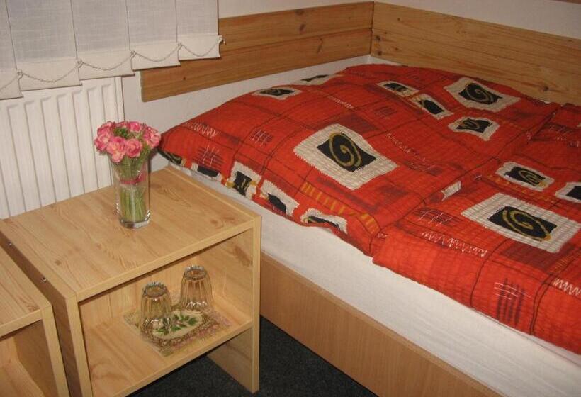 Orta Banyolu Üç Kişilik Standart Oda, Bed & Breakfast Penzion Brno