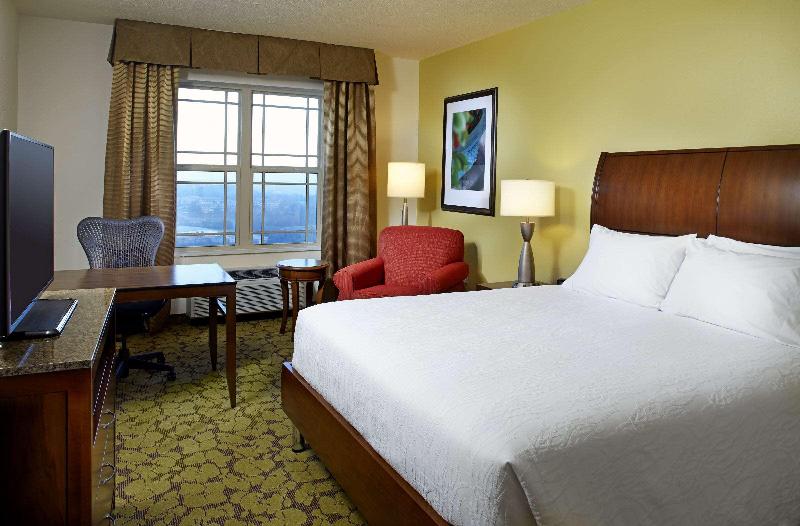 Стандартный Номер Кровать Кинг, Hilton Garden Inn Roanoke