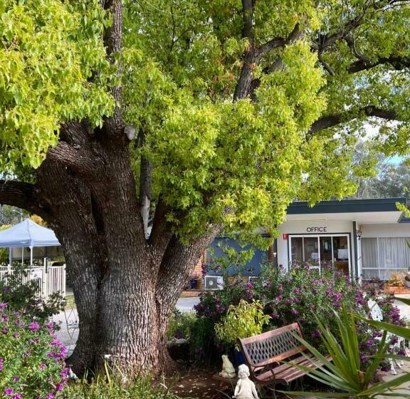 디럭스 패밀리 룸, Sturt Motel Balranald