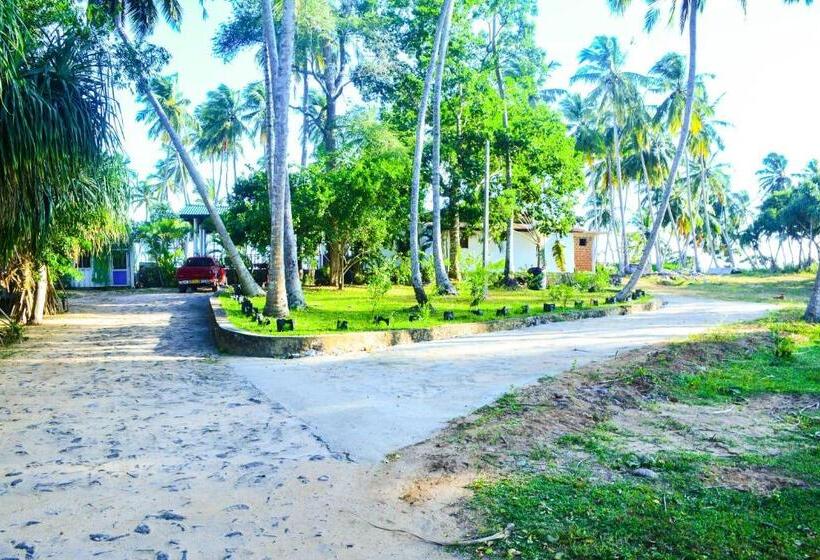 اتاق لوکس با چشم‌انداز دریا, Helios Beach Resort