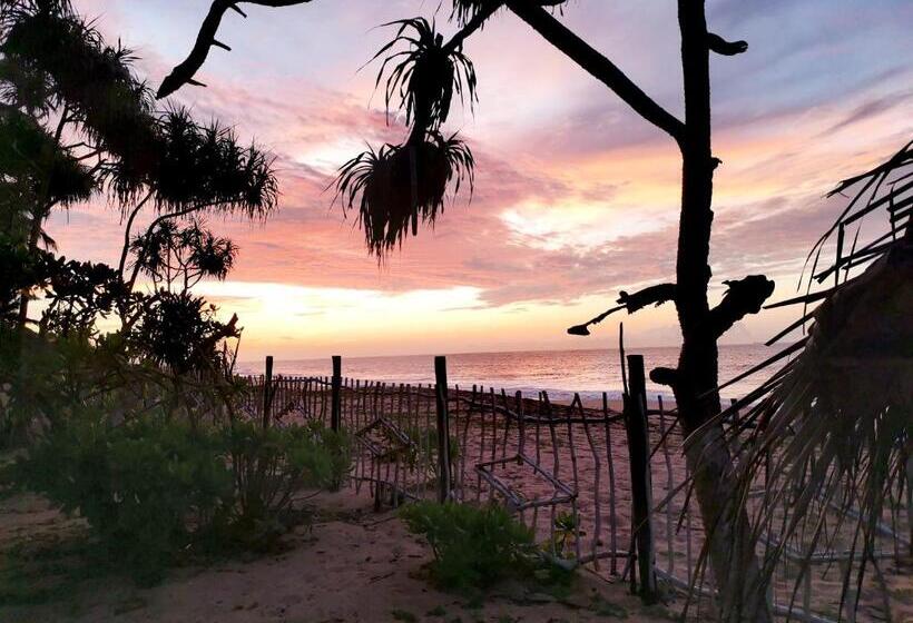 اتاق استاندارد با چشم‌انداز دریا, Helios Beach Resort