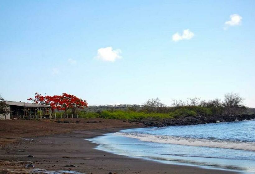 Вилла 2 Спальни, Black Beach House