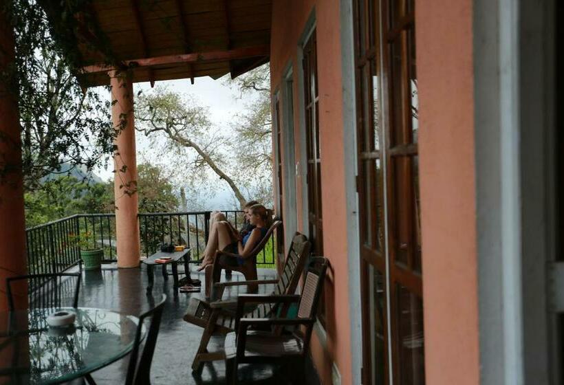 اتاق استاندارد با چشم‌انداز کوهستان, Tea Garden Holiday Inn