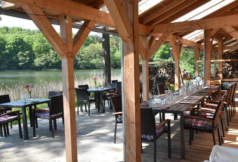 Номер Стандарт с Балконом, Seehaus Hartwigsdorf