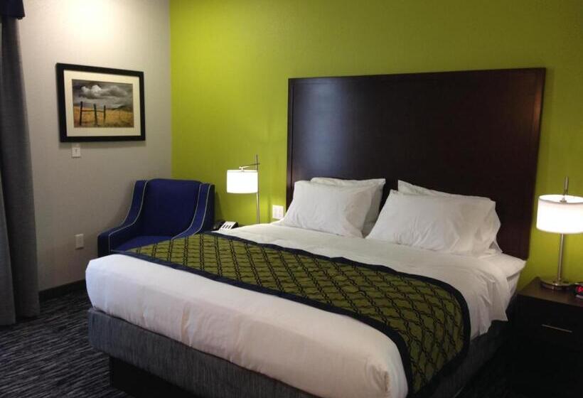 Номер Стандарт 2 Двуспальные Кровати, Hawthorn Extended Stay By Wyndham Midland
