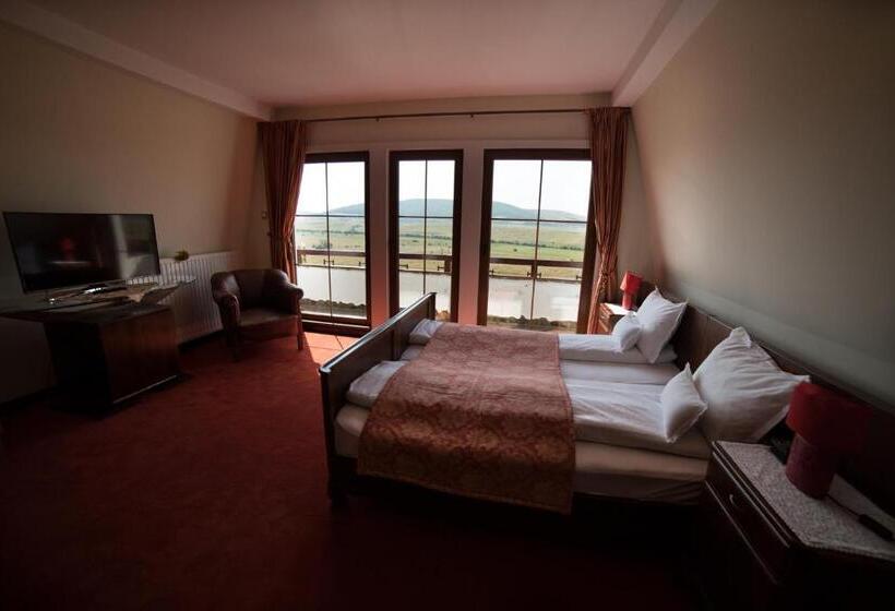 Номер Deluxe, Saciova Hills