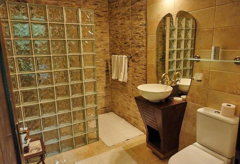 Номер Deluxe, Saciova Hills