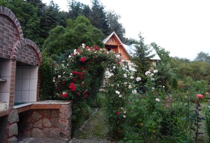 클래식 4인 룸, Pensiunea Paradis