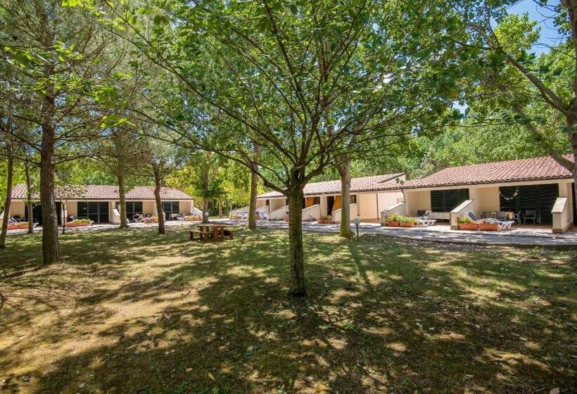 آپارتمان 1 خوابه اینتریور, Ghiacci Vecchi Residence
