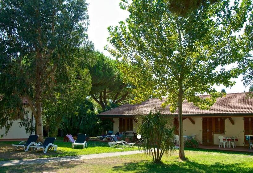 استودیوی استاندارد, Ghiacci Vecchi Residence