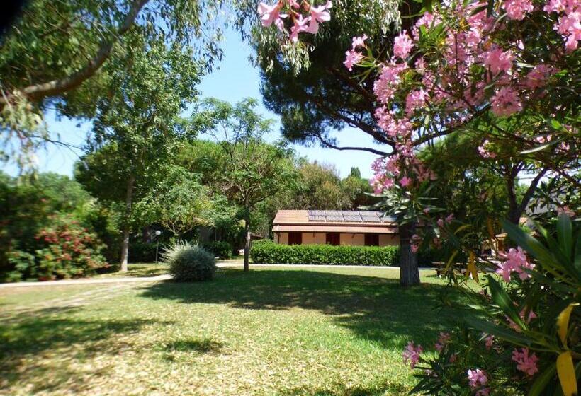 آپارتمان 1 خوابه همکف, Ghiacci Vecchi Residence