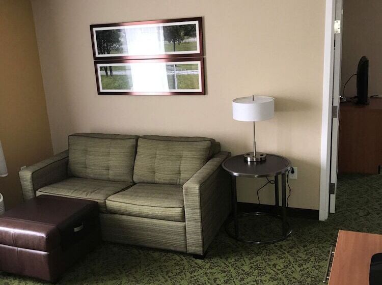 Люкс, Towneplace Suites By Marriott Lexington South/hamburg Place