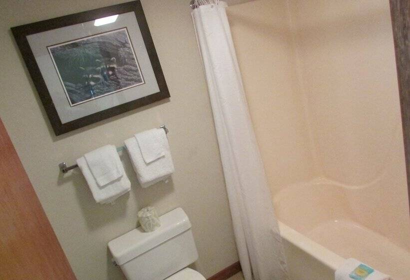 Quarto Superior Vista Montanha, Arbors At Island Landing Hotel & Suites