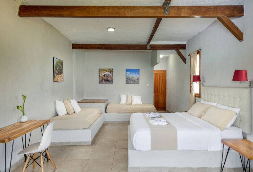 Люкс, Blu Galapagos Sustainable Waterfront Lodge