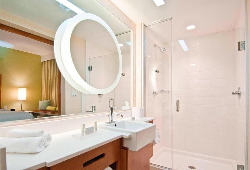 스탠다드 스튜디오 킹침대, Springhill Suites By Marriott Baton Rouge Gonzales