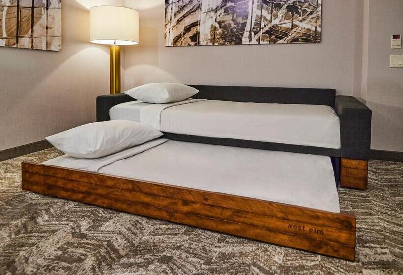스탠다드 스튜디오 킹침대, Springhill Suites By Marriott Baton Rouge Gonzales