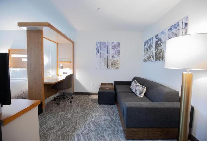 스탠다드 스튜디오 킹침대, Springhill Suites By Marriott Baton Rouge Gonzales
