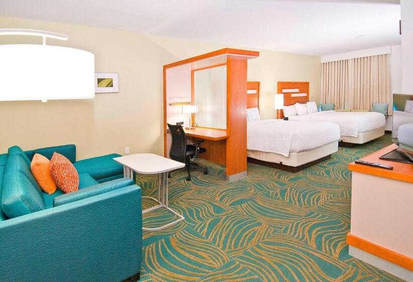 스탠다드 스튜디오, Springhill Suites By Marriott Baton Rouge Gonzales