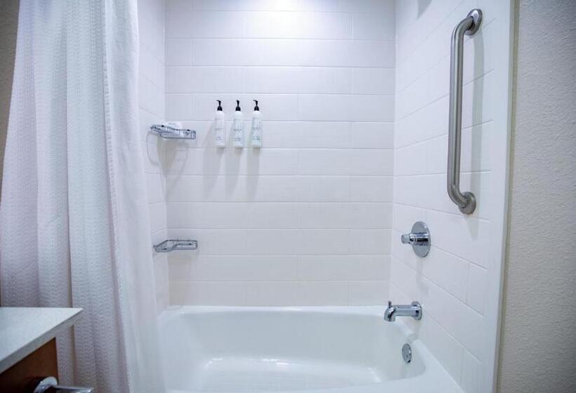 스탠다드 스튜디오 킹침대, Springhill Suites By Marriott Baton Rouge Gonzales