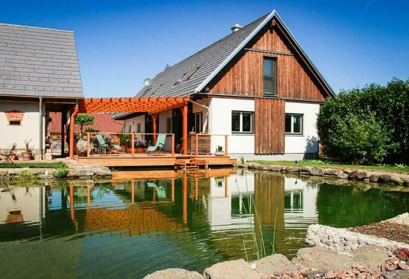 Номер Стандарт, Amd Chalet