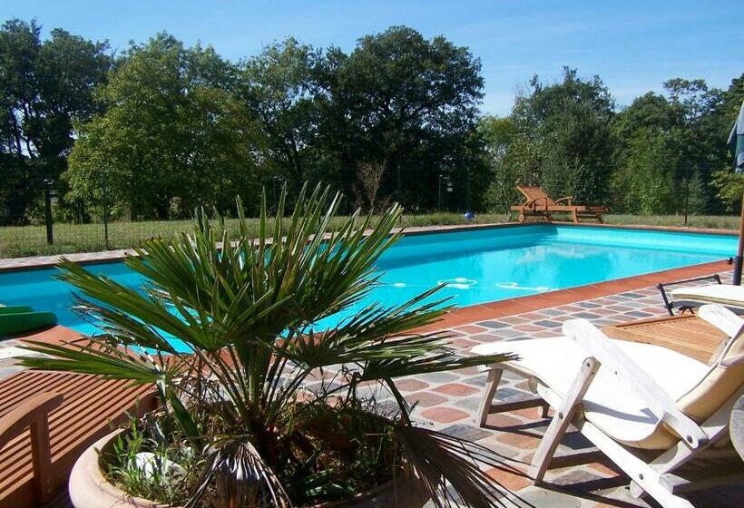 Номер Стандарт, Domaine De Las Planques