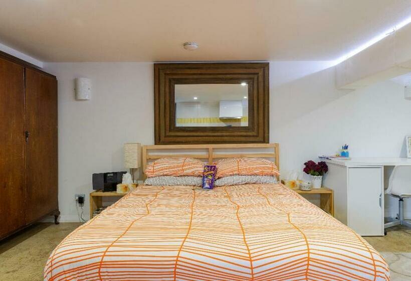 스탠다드 스튜디오, Modern & Homely Comfort