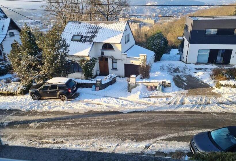 Вилла 1 Спальня, Bed Vue Sur Vallée De La Meuse Namur