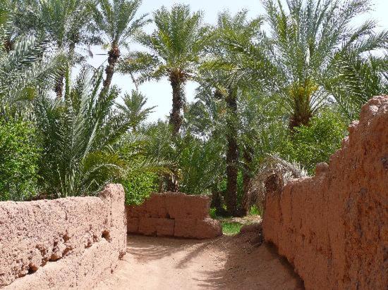 Номер Стандарт Вид на Горы, Kasbah Timidarte
